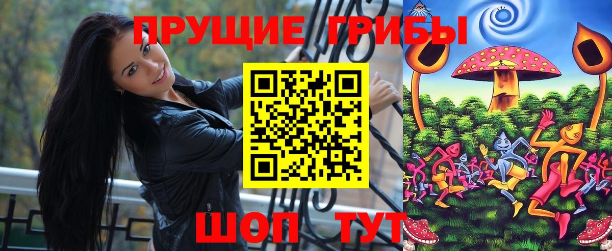 Псилоцибиновые грибы Psilocybe  Вход с VPN  Сарапул 