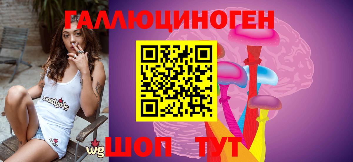 Псилоцибиновые грибы Psilocybe Сарапул